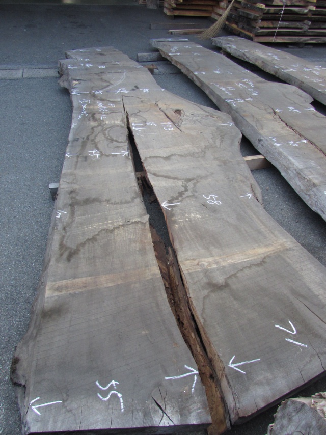 栃（トチ）　一枚板