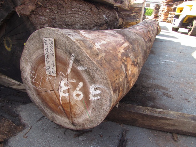 朱里（シウリ）　無垢材