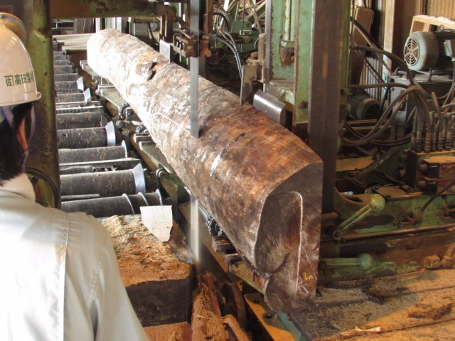 朱里（シウリ）　無垢材