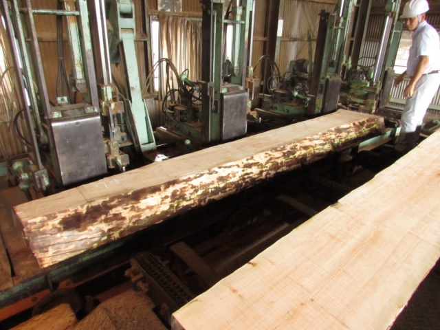 チェリー　無垢材