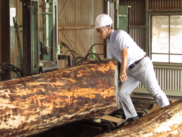 チェリー　無垢材