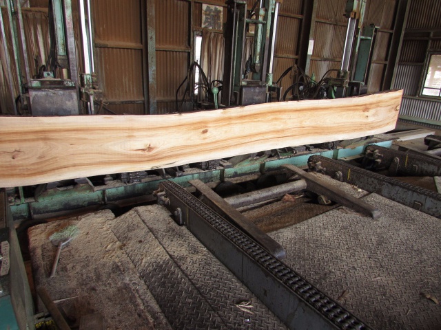 朱里（シウリ）　無垢材