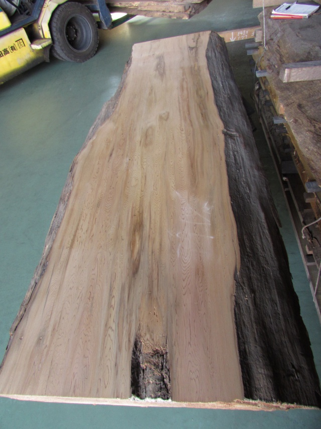 屋久杉（ヤクスギ）　一枚板