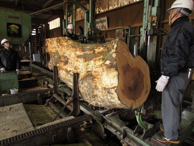 モンキーポッド　無垢材