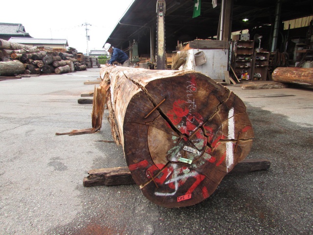 ペルポック　無垢材