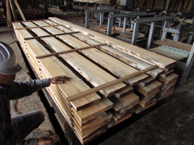 ペルポック　無垢材