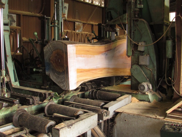 欅（ケヤキ）　無垢材