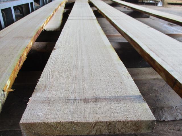 杉（スギ）　無垢材