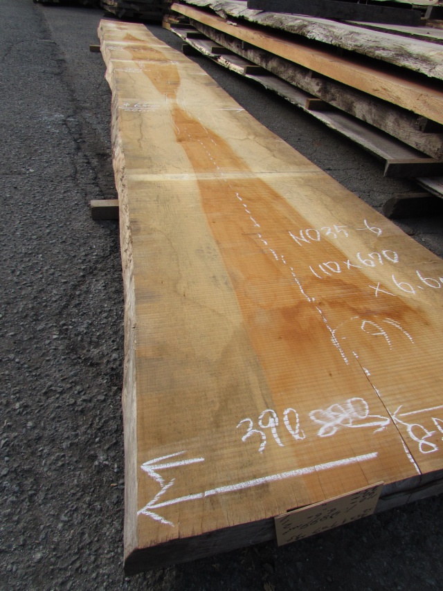 銀杏（イチョウ）　一枚板