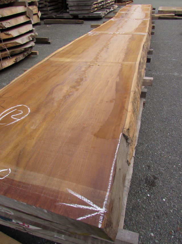 アサメラ　一枚板