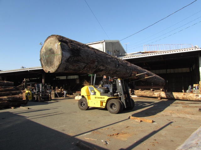 米松（ベイマツ）　無垢材