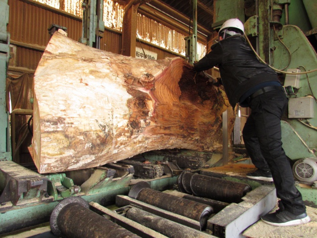 栴檀（センダン）　無垢材