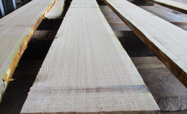 【建具用材】国有林200年生“杉（スギ）”丸太を製材しました。