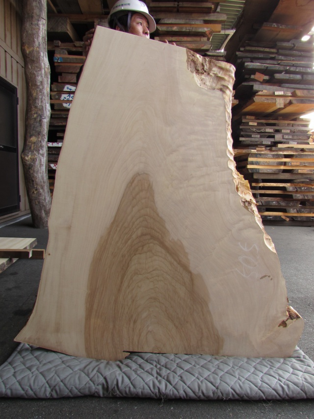 栃（トチ）　一枚板