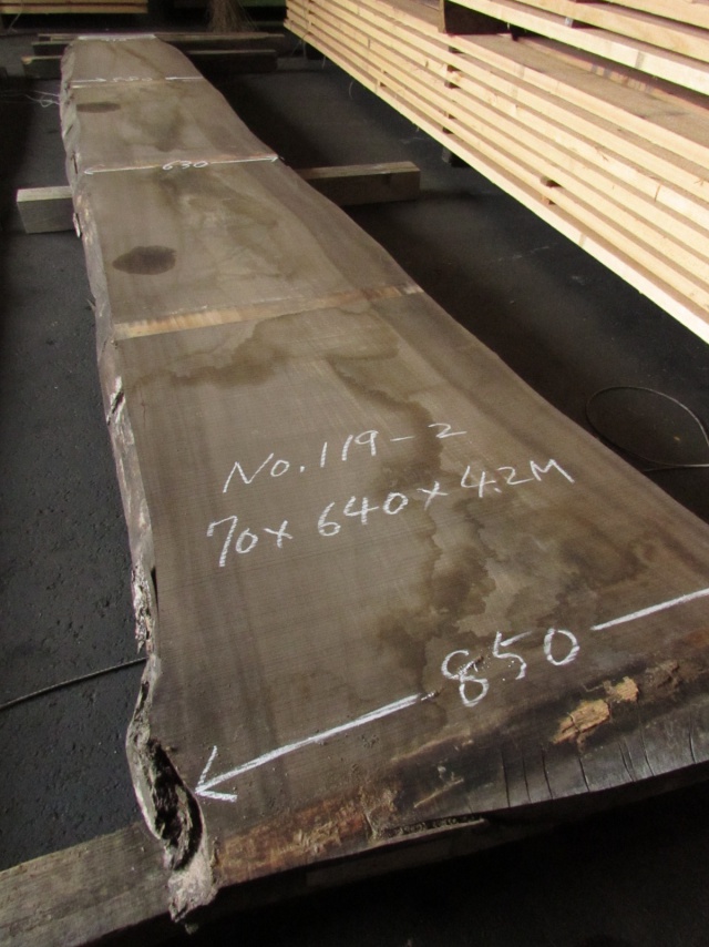 楠（クス）　一枚板