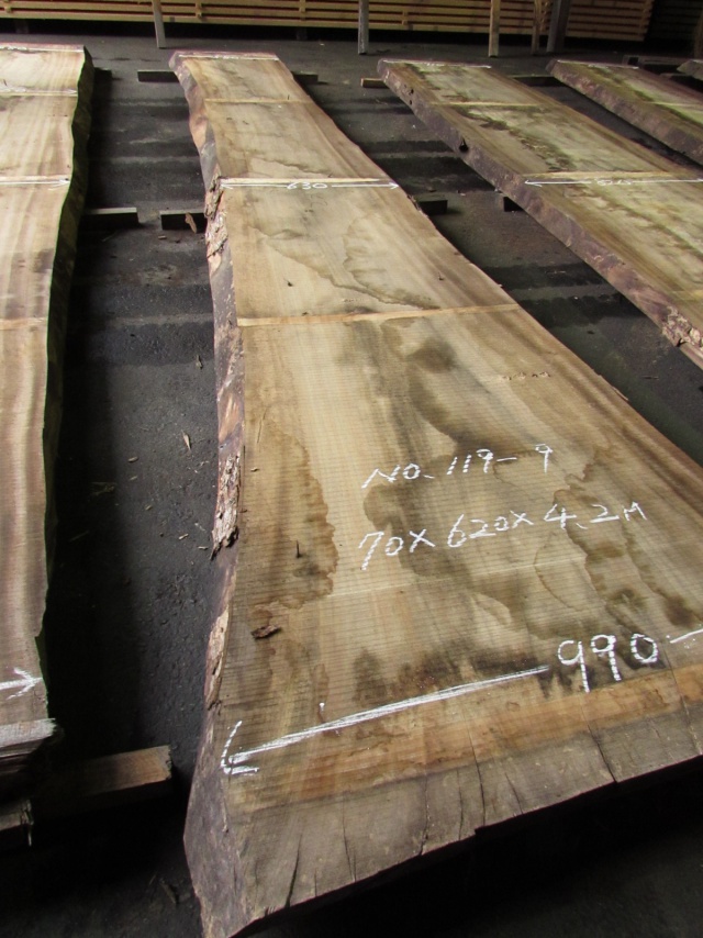 楠（クス）　一枚板