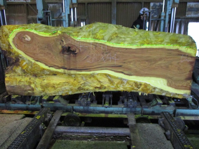 黄蘗（キハダ）　無垢材