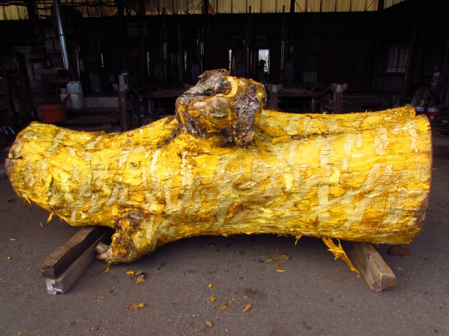 黄蘗（キハダ）　無垢材