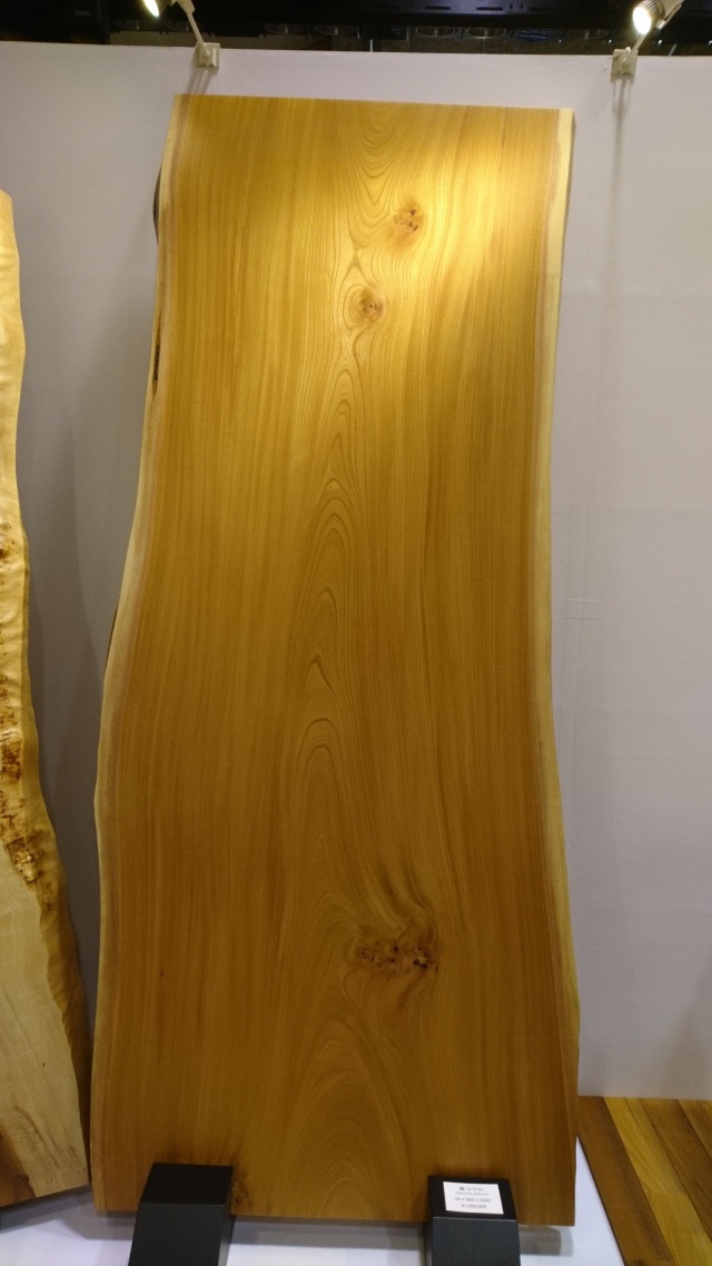 欅（ケヤキ）　一枚板