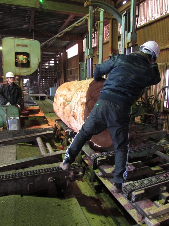 チェリー　無垢材