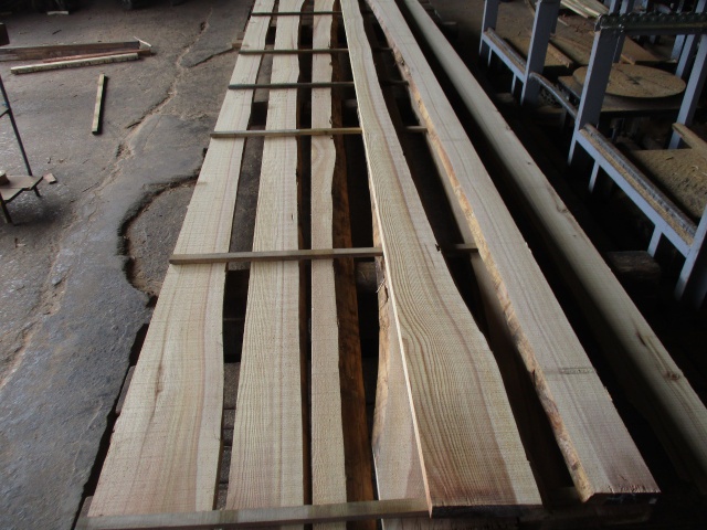 杉（スギ）　無垢材