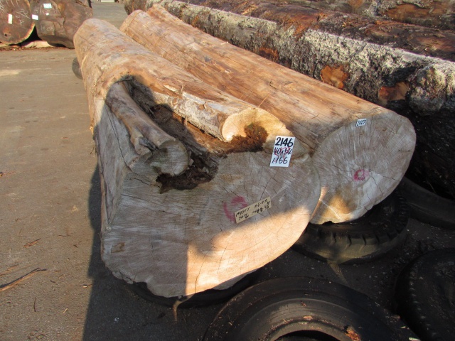 青森檜葉（アオモリヒバ）　無垢材