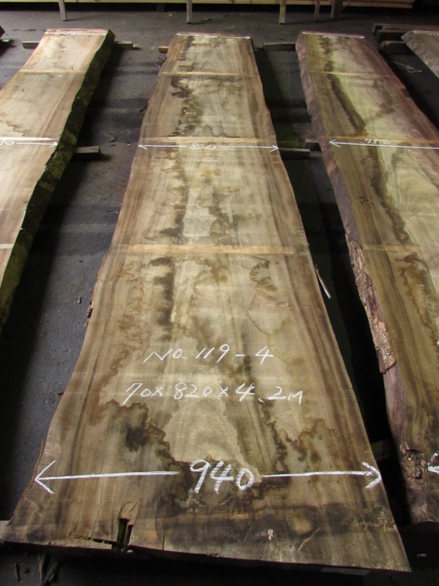 楠（クス）　一枚板