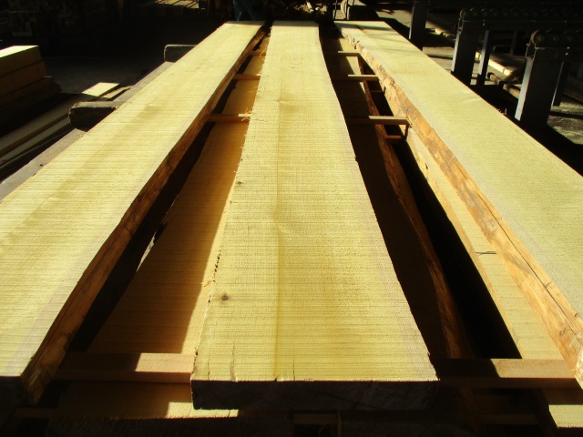 青森檜葉（アオモリヒバ）　無垢材