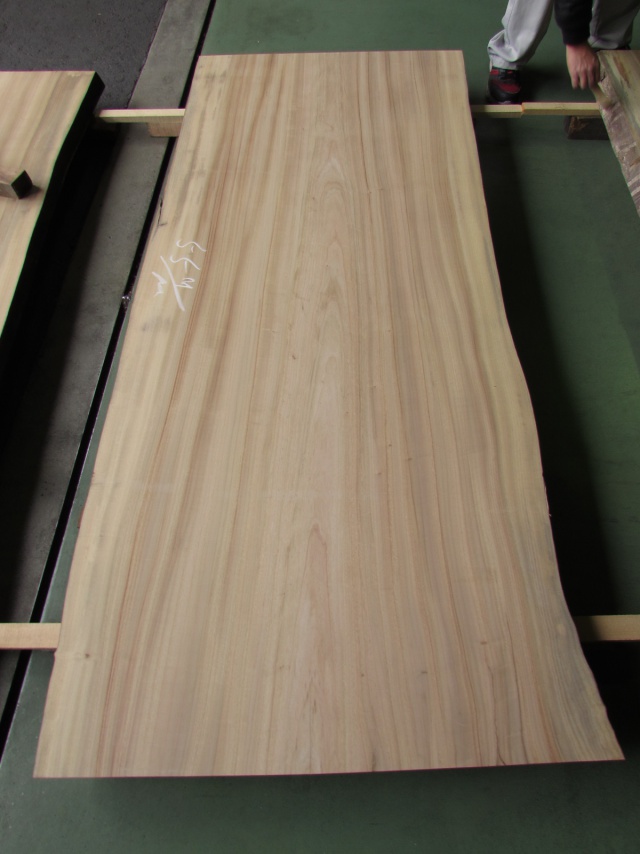 楠（クス）　一枚板