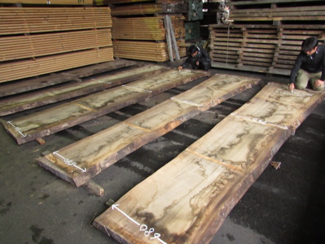 楠（クス）　一枚板