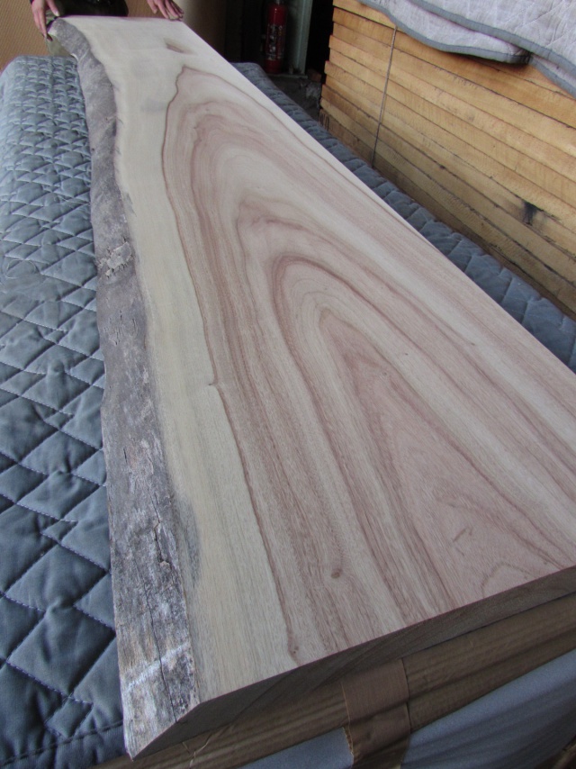 楠（クス）　一枚板