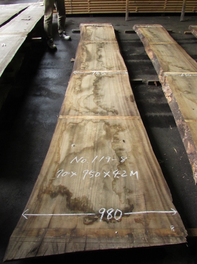 楠（クス）　一枚板