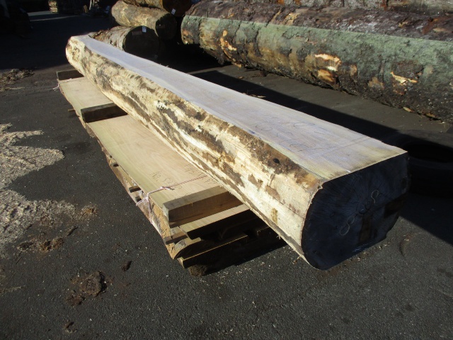 栓（セン）　無垢材