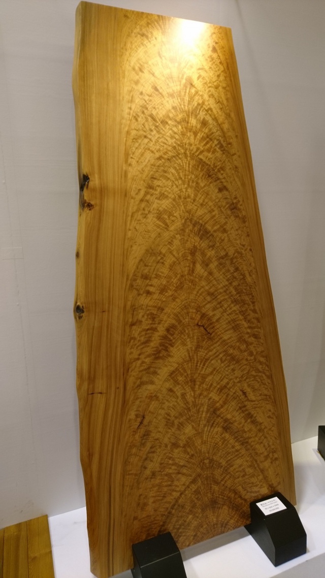屋久杉（ヤクスギ）　一枚板
