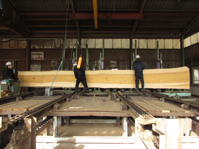 チェリー　無垢材