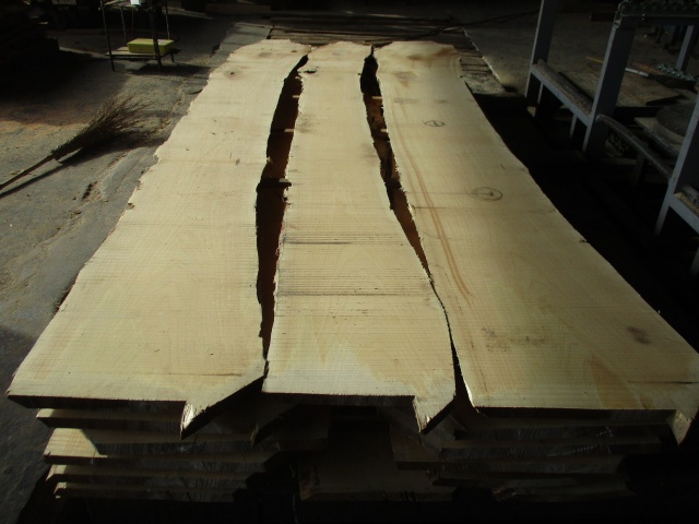 銀杏（イチョウ）　無垢材