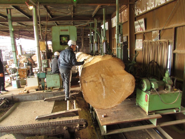 チェリー　無垢材