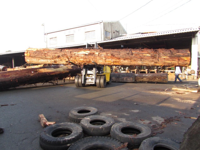 米杉（ベイスギ）　無垢材