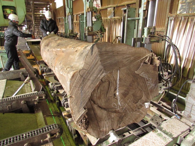 ウォールナット　無垢材