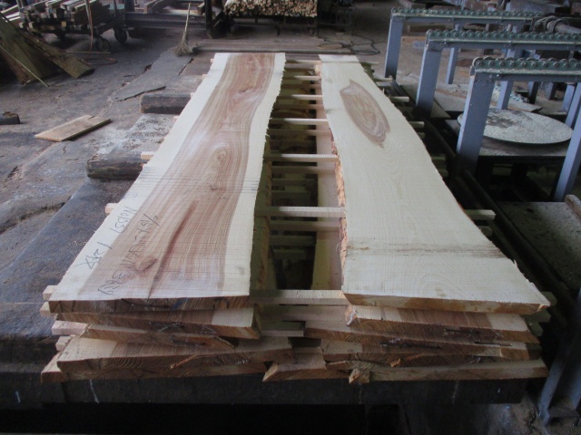 目白樺（メジロカバ）　無垢材