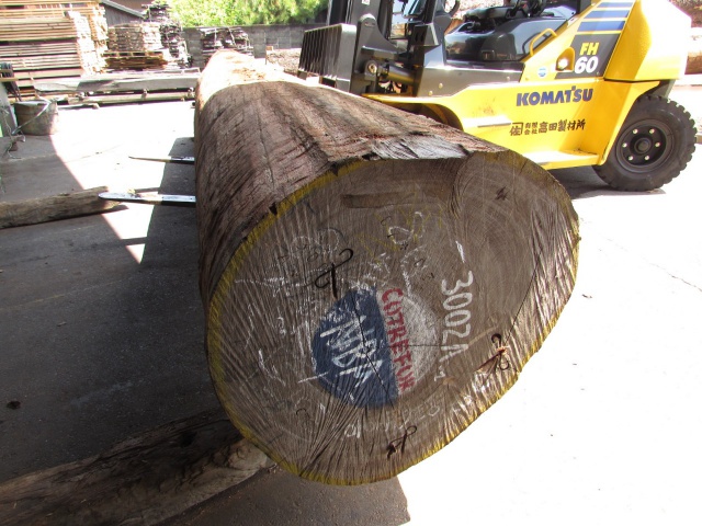 アフリカンマホガニー　無垢材