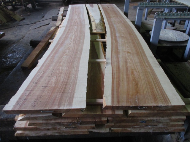 目白樺（メジロカバ）　無垢材