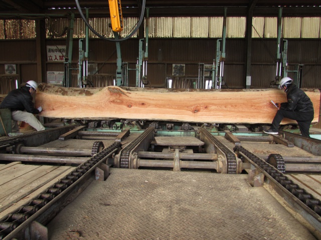 チェリー　無垢材