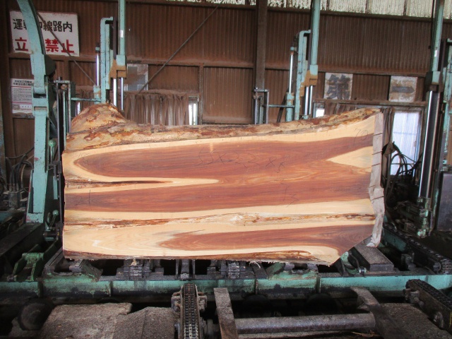 楡（ニレ）　無垢材