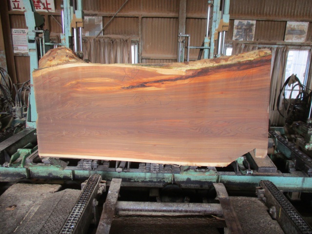 楡（ニレ）　無垢材