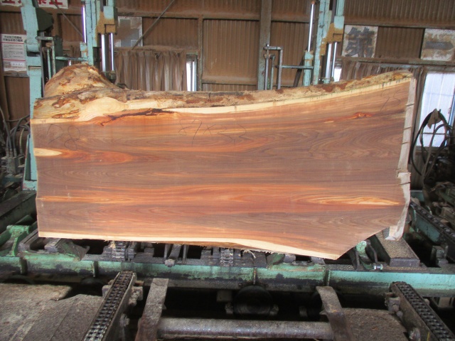 楡（ニレ）　無垢材