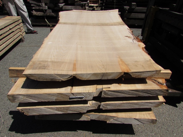 楡（ニレ）　無垢材