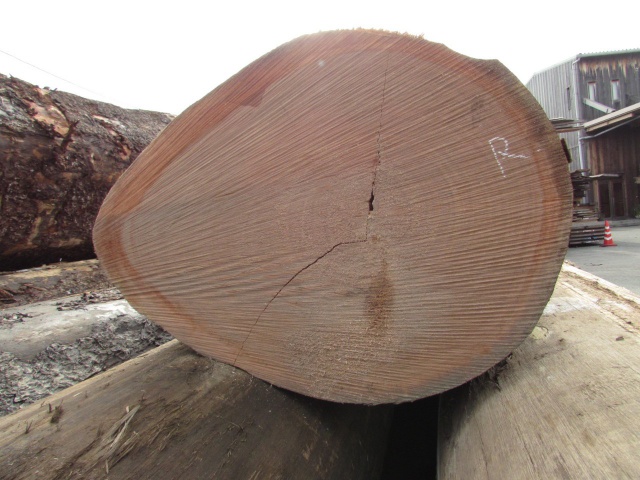 レッドセラヤ　無垢材