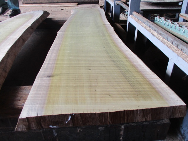 朴（ホオ）　無垢材