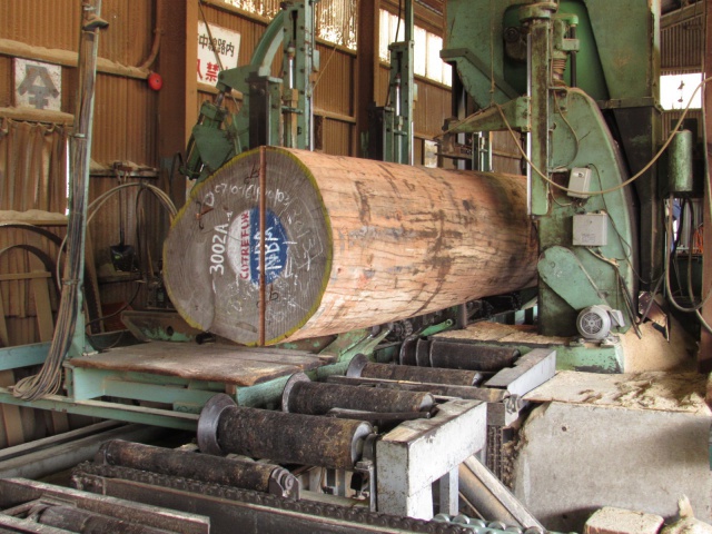 アフリカンマホガニー　無垢材